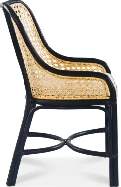 Anton matstol i rotting med dyna