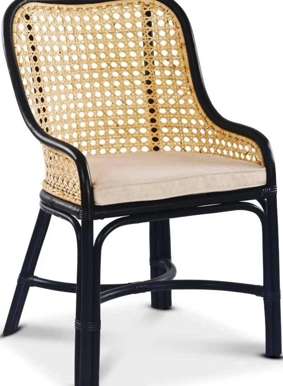 Anton matstol i rotting med dyna + Textilrengöring för möbler