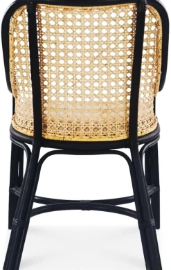 Anton matstol i rotting med dyna + Textilrengöring för möbler