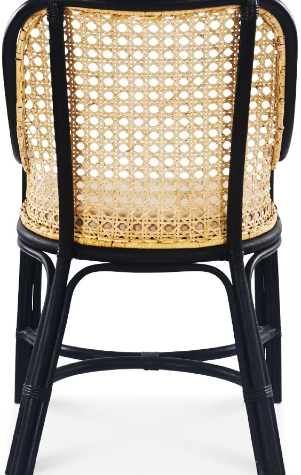 Anton matstol i rotting med dyna + Textilrengöring för möbler