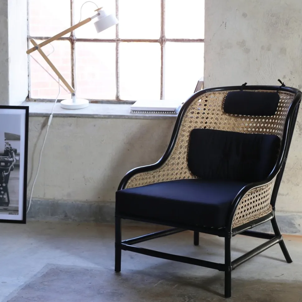 Anton svart fåtölj i rotting + Fläckborttagare för möbler