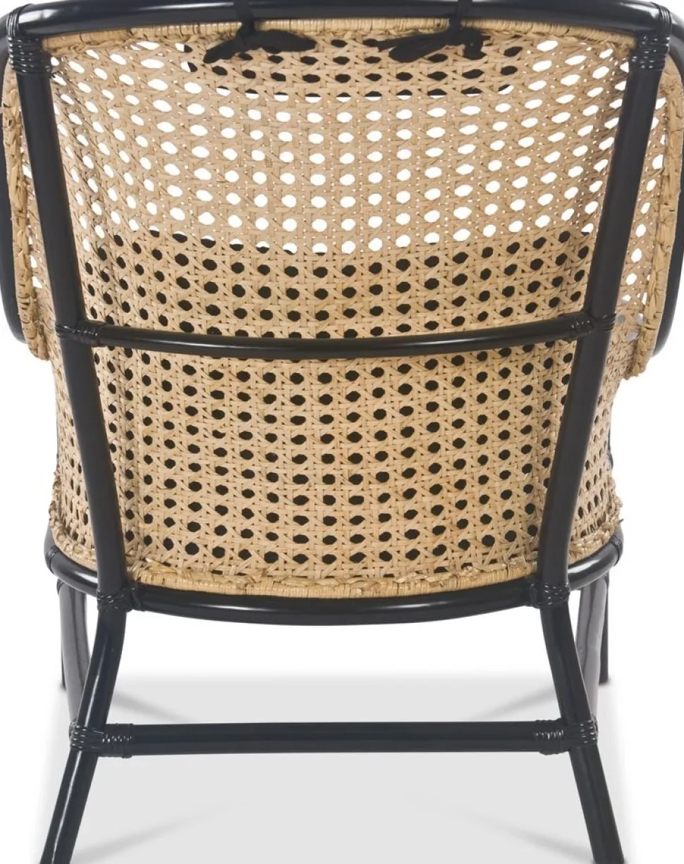 Anton svart fåtölj i rotting + Fläckborttagare för möbler