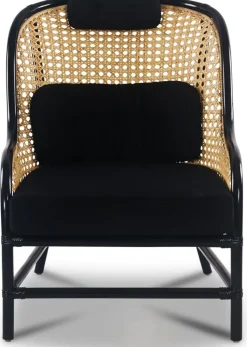 Anton svart fåtölj i rotting + Fläckborttagare för möbler