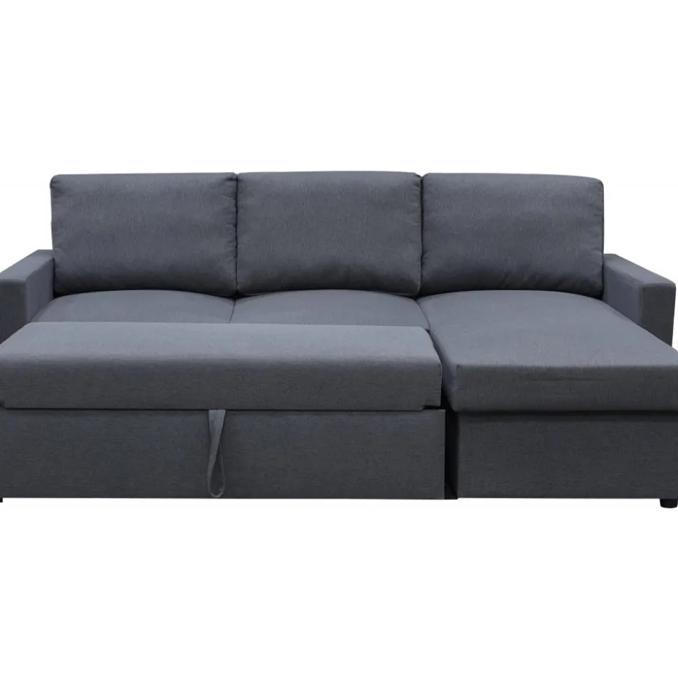 Bäddsoffa 220 cm bred mörkgrå med förvaring + Fläckborttagare för möbler