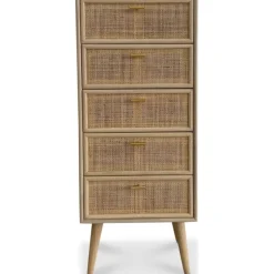 Byrå i rotting med 5 lådor - React