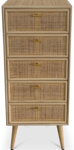 Byrå i rotting med 5 lådor - React + Möbeltassar