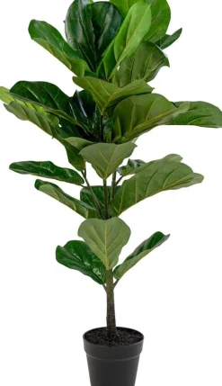 Fiddle konstblomma - 100 cm