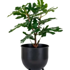 Fikonträd konstväxt - Grön