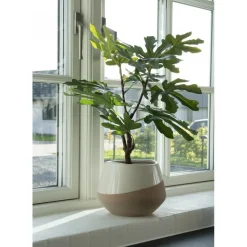 Fikonträd konstväxt - Grön
