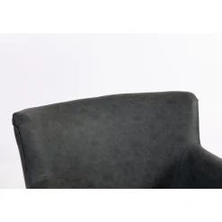 Fåtölj i antracit PU - Professor