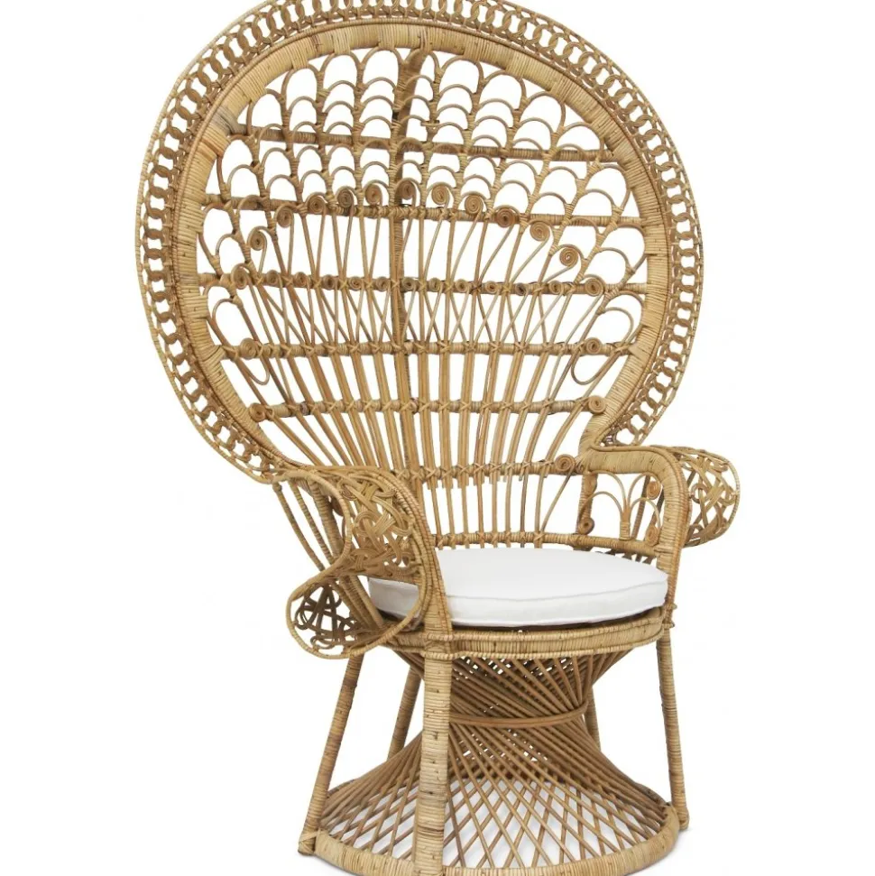 Fåtölj Påfågel i rotting + Fläckborttagare för möbler