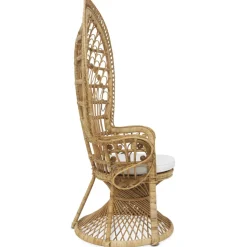 Fåtölj Påfågel i rotting + Fläckborttagare för möbler