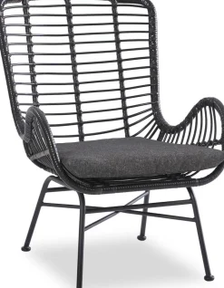 Fåtölj Svart - Minos + Textilrengöring för möbler