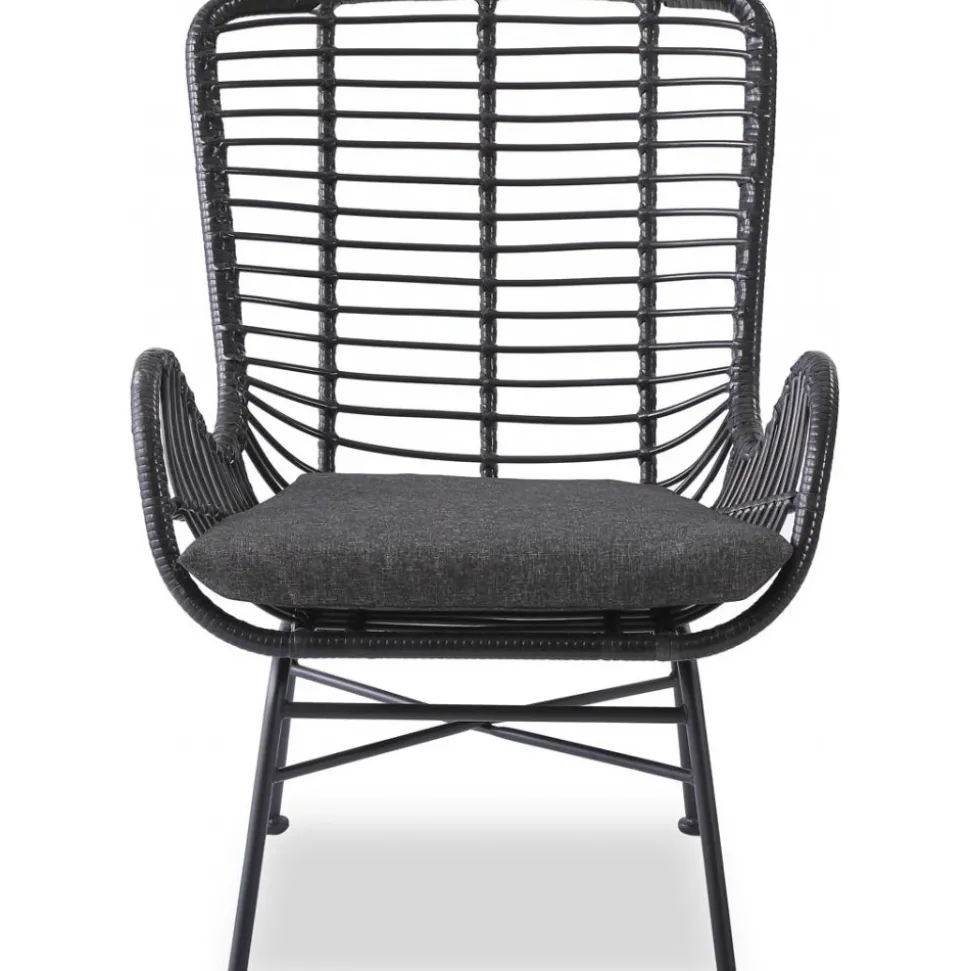 Fåtölj Svart - Minos + Textilrengöring för möbler