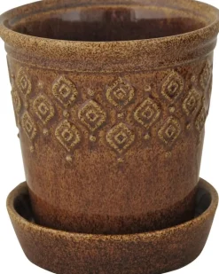 Gabriella blomkruka liten - Brun