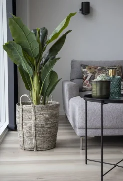 Konstgjort bananträd 163 cm hög