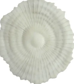 Korall väggdekoration D 48 cm - Ljus