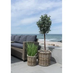 Korgset med 2 st korgar - Rotting