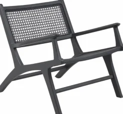 Linnea fåtölj - Svart/rotting + Fläckborttagare för möbler