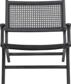 Linnea fåtölj - Svart/rotting + Fläckborttagare för möbler