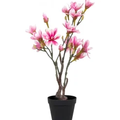 Magnoliaträd konstväxt - Rosa