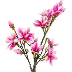 Magnoliaträd konstväxt - Rosa