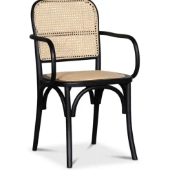 Malmby karmstol böjträ svart/rotting + Fläckborttagare för möbler