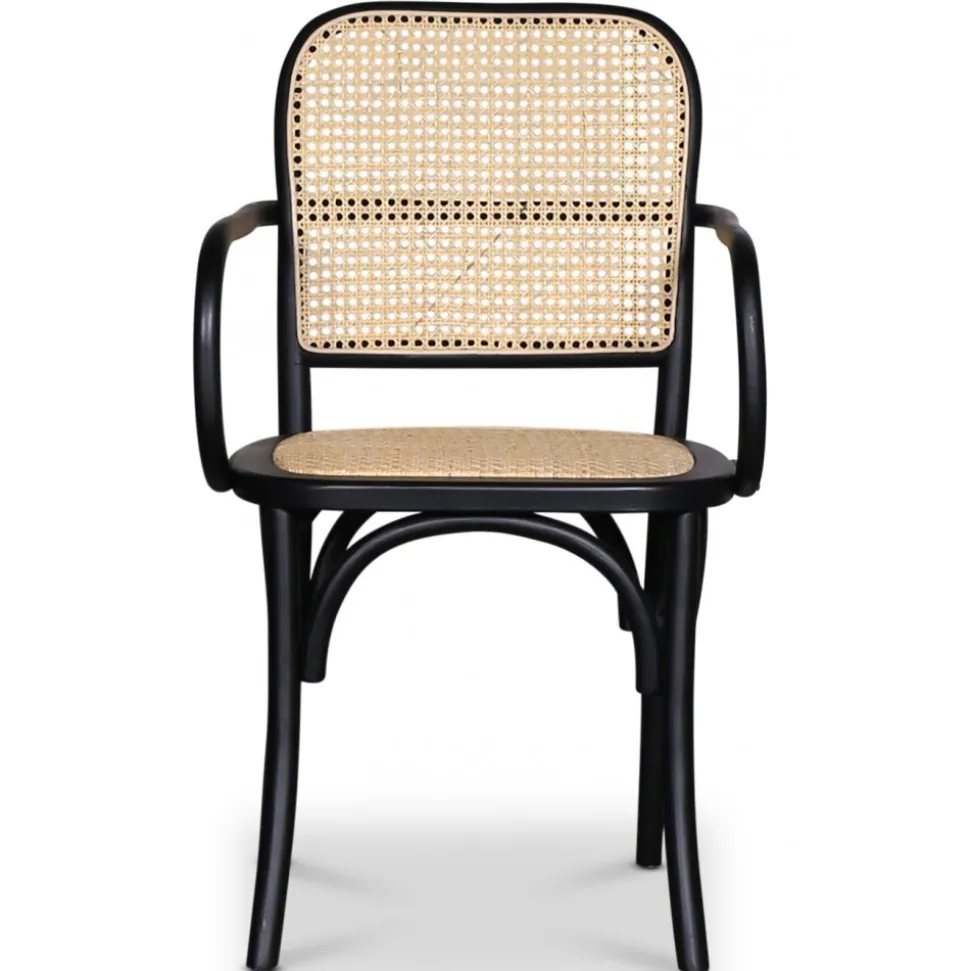 Malmby karmstol böjträ svart/rotting + Fläckborttagare för möbler