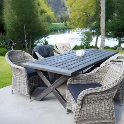 Matbord grå 220 x100 cm - Oxford + Fläckborttagare för möbler