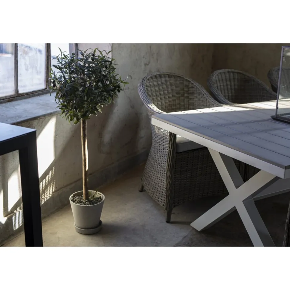 Matgrupp Mercury bord inkl 6 st fåtöljer - Konstrotting/Vit aluminium