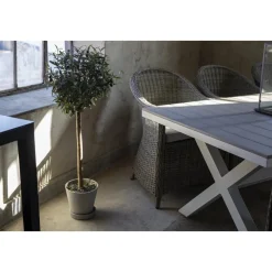 Matgrupp Mercury bord inkl 6 st fåtöljer - Konstrotting/Vit aluminium + Fläckborttagare för möbler