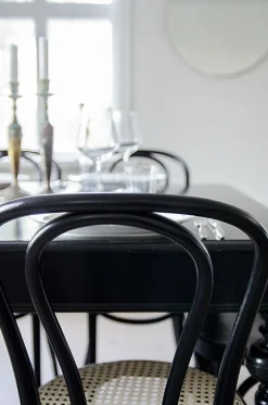 No 18 matstol med rottingsits - Svart + Fläckborttagare för möbler