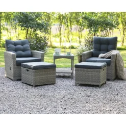 Orlando Set - Stolar + Rengöringsmedel för utemöbler