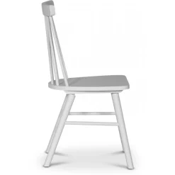 Orust pinnstol vit + Fläckborttagare för möbler