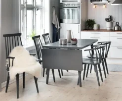 Pinnstol mörkgrå + Fläckborttagare för möbler