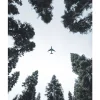 Posterworld - Motiv Airplane - 50 x 70 cm