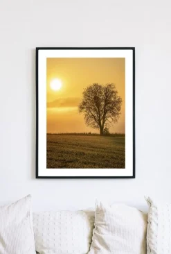 Posterworld - Motiv Lonely Tree - 50x70 cm