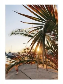 Posterworld - Motiv Palm - 50x70 cm