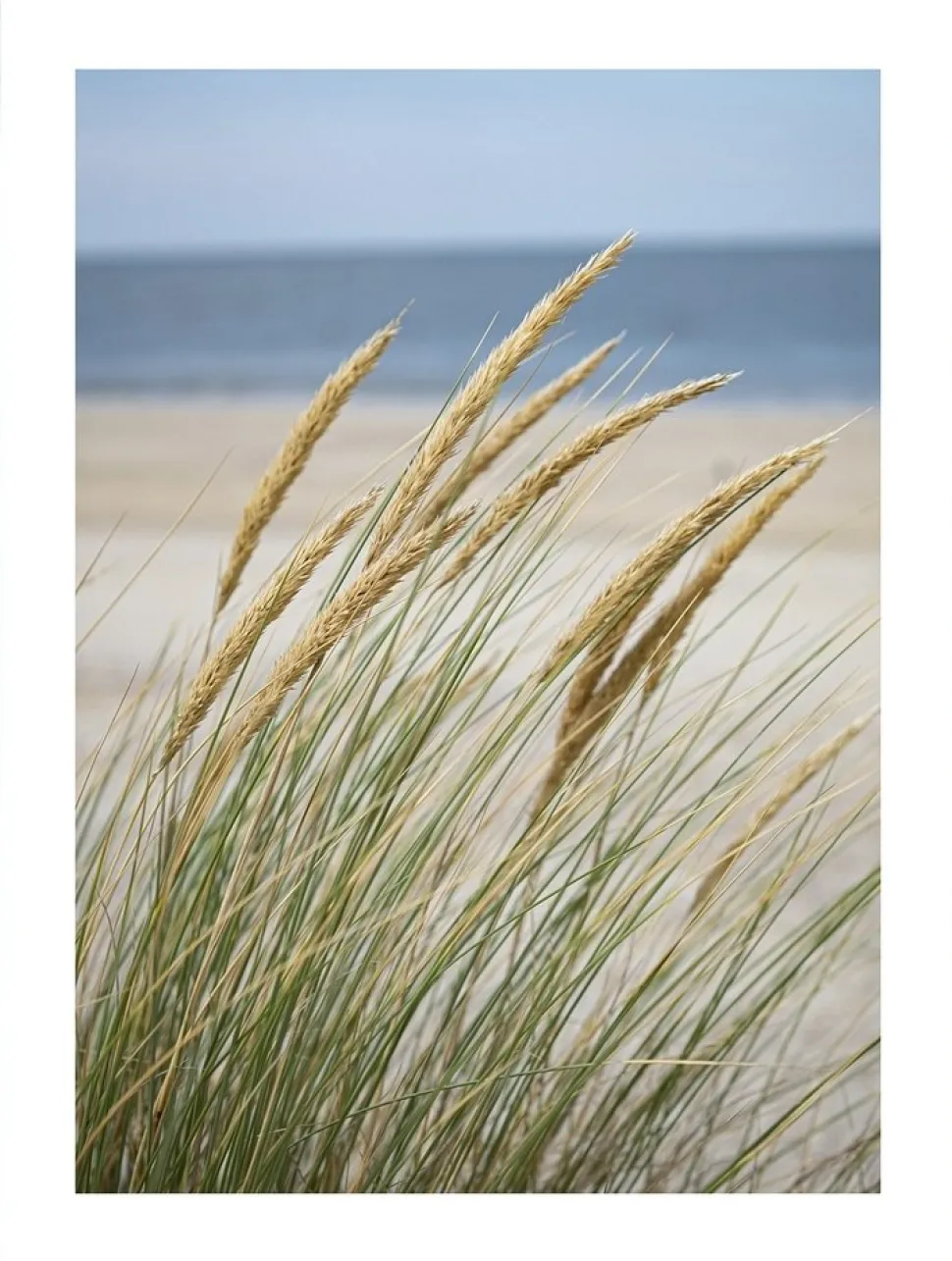 Posterworld - Motiv Windy Beach - 70 x 100 cm