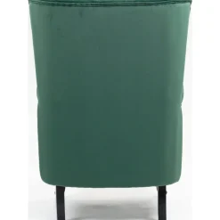 Öronlappsfåtölj i grön sammet + Fläckborttagare för möbler