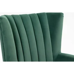 Öronlappsfåtölj i grön sammet + Fläckborttagare för möbler