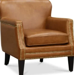 Skinnfåtölj brun - Ambassadör Professor + Textilrengöring för möbler