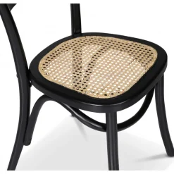 Stol i böjträ med rotting sits + Stolsdyna