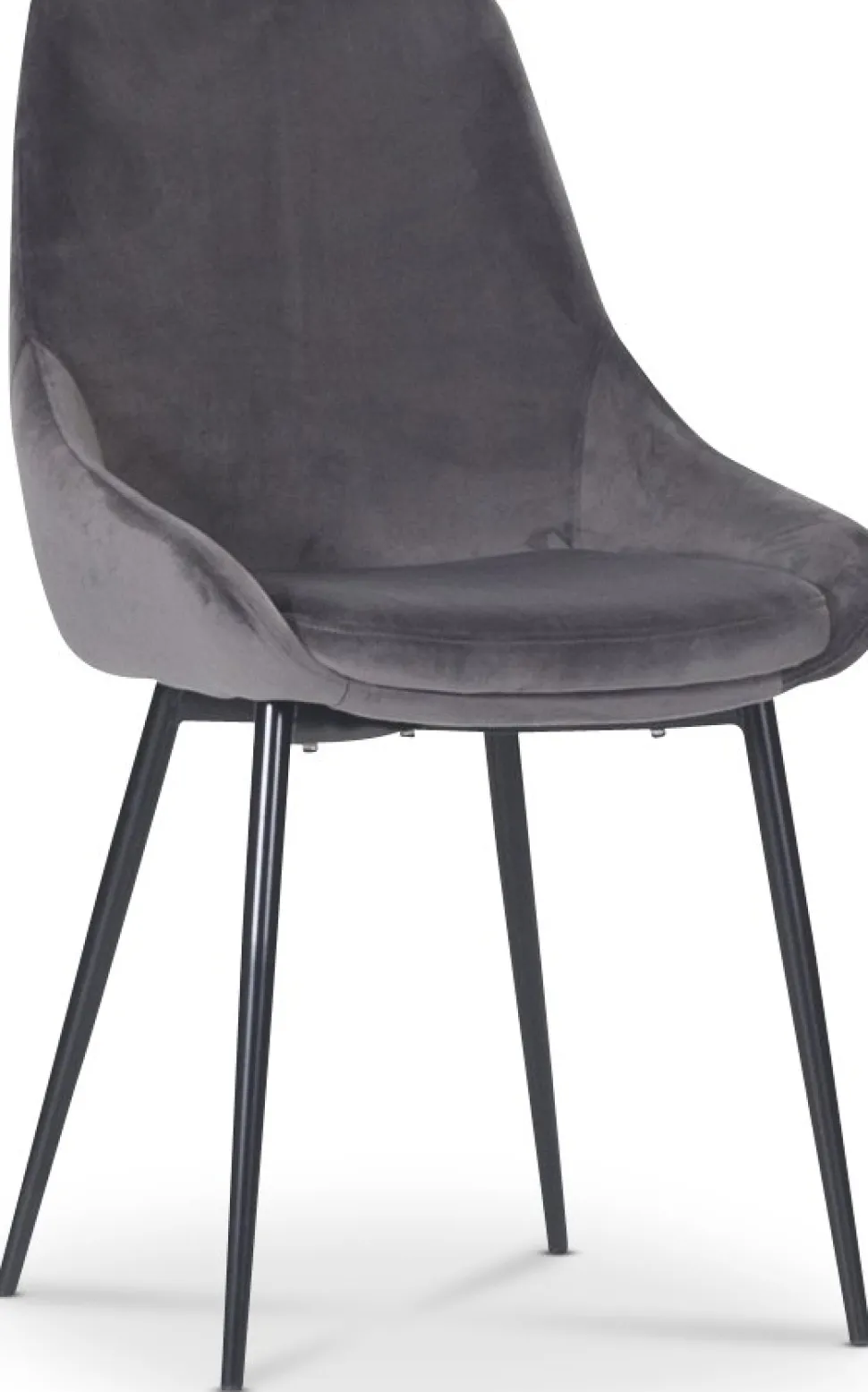 Stol Theo i grå sammet + Textilrengöring för möbler