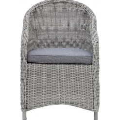 Utefåtölj grå rotting med dyna - Mercury + Fläckborttagare för möbler