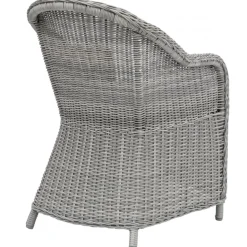 Utefåtölj grå rotting med dyna - Mercury + Fläckborttagare för möbler