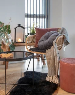 Utestol med dyna - Natur + Textilrengöring för möbler