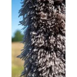 Willy matta - Chocolate