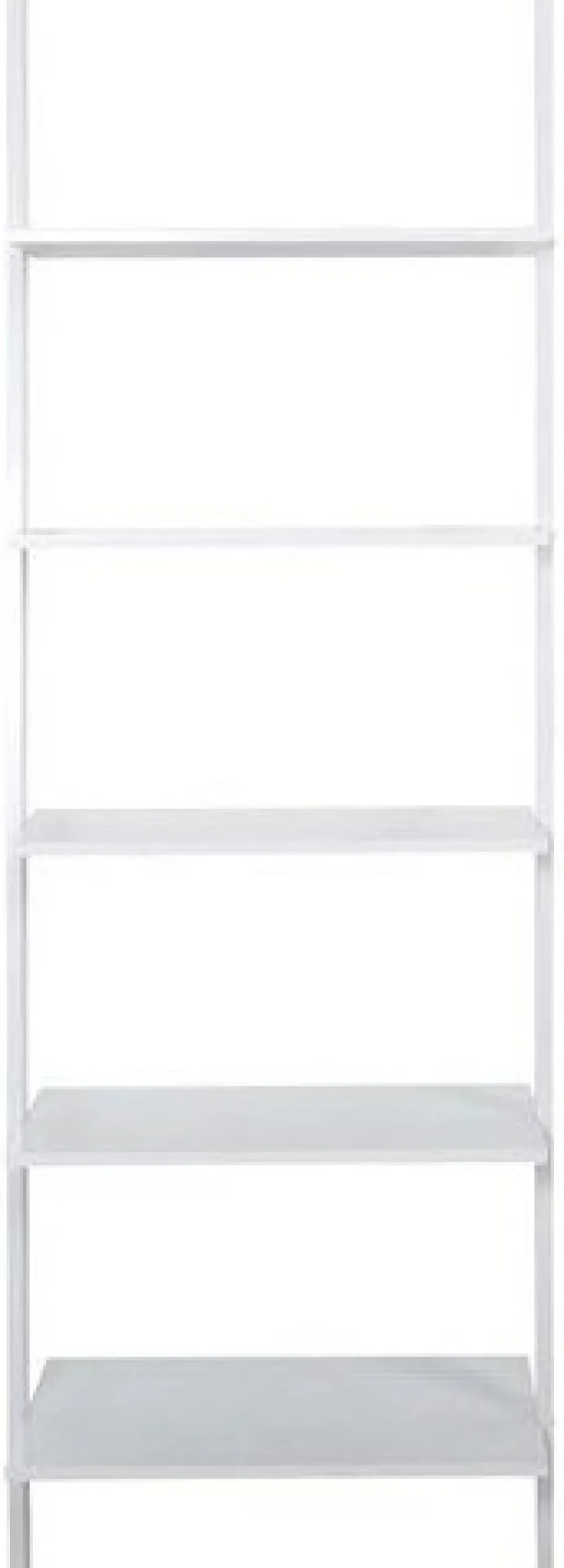 Writex steghylla - Vit